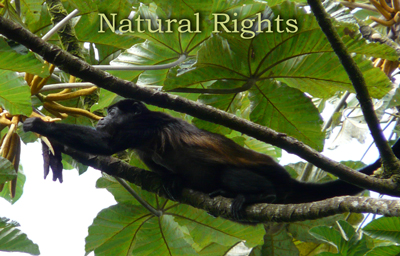 Natural Rights