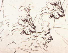 Savage Man-From DaVinci drawing