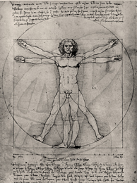 Vitruvian Man