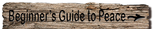 Beginners Guide to Peace