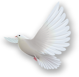 Dove of Peace